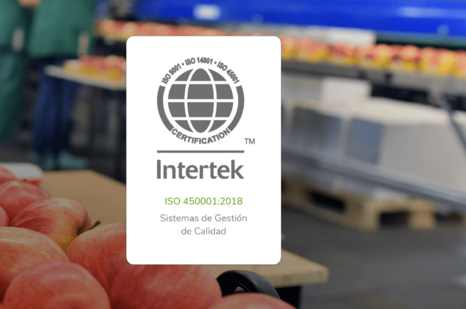ISO 45001